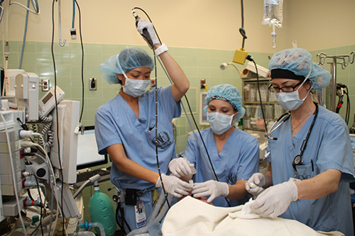 Anesthesiology and Internal Medicine Residents on Anesthesia Rotation in the Operating Room